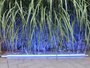9649 LED Leuchtstab 9 Watt Blau 63 cm Kunststoff LED R�hre IP-44 Aussen