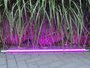 9653 LED Leuchtstab 10 Watt Pink 63 cm IP-44 Blendschutz 