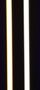 7518 LED Paneele Leuchte Warm Wei�-Kalt Wei� KS-wei� 2x100cm+ Fernb.