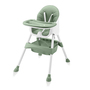 Baby Vivo Design 2in1 Kinderhochstuhl - Oscar in Gr�n