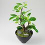 Dekopflanze gr�n in Keramikschale 30cm Ficus Gr�npflanze Feige Kunstpflanze