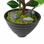 Dekopflanze gr�n in Keramikschale 30cm Ficus Gr�npflanze Feige Kunstpflanze
