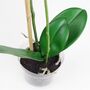 Kunstspflanze Orchidee wei� ca. 45cm hoch Dekoorchidee in Erde aus Kunststoff