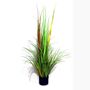 Dekogras Ziergras gr�n im Topf 123cm Dekopflanze Wildgras Gr�ser Gras 