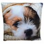 Couchkissen Dekokissen Tier Motiv 40x40cm Hund, Welpe, Katze, Pferd oder Hase