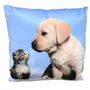 Couchkissen Dekokissen Tier Motiv 40x40cm Hund, Welpe, Katze, Pferd oder Hase