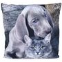 Couchkissen Dekokissen Tier Motiv 40x40cm Hund, Welpe, Katze, Pferd oder Hase