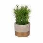 Deko-Kr�uter im Zementtopf in grau gold Kunstblume Dekoration Gr�npflanze 