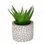 Deko-Sukkulenten im Zementtopf in grau wei� Kunstblume Dekoration Gr�npflanze 