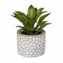 Deko-Sukkulenten im Zementtopf in grau wei� Kunstblume Dekoration Gr�npflanze 