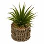 Deko-Sukkulenten im Seegrass-Topf Naturfarben Kunstblume Dekoration Gr�npflanze 