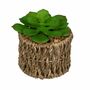 Deko-Sukkulenten im Seegrass-Topf Naturfarben Kunstblume Dekoration Gr�npflanze 