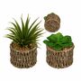 Deko-Sukkulenten im Seegrass-Topf Naturfarben Kunstblume Dekoration Gr�npflanze 
