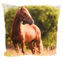 Dekokissen 45 x 45 cm Couchkissen mit Tiermotiv & wei�er R�ckseite Foto- Kissen