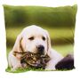Dekokissen 45 x 45 cm Couchkissen mit Tiermotiv & wei�er R�ckseite Foto- Kissen