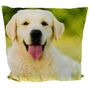 Dekokissen 45 x 45 cm Couchkissen mit Tiermotiv & wei�er R�ckseite Foto- Kissen