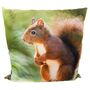 Dekokissen 45 x 45 cm Couchkissen mit Tiermotiv & wei�er R�ckseite Foto- Kissen