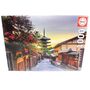 EDUCA Puzzle 1000 Teile St�dte, Landschaft & Tiere 68 x 48 cm hochwertiges Motiv
