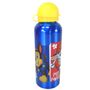 Aluminium Motiv Trinkflasche f�r Kinder 530ml Isoflasche mit Kappe Kinderflasche