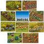 Faller H0 Nutzpflanzen und Blumen Sets 1:87