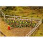 Faller 181262 H0 36 Tulpen Set 1:87 