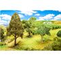 Faller H0 181170 3 Premium B�ume Linde Esche Ahorn 1:87 