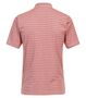 Redmond - Herren Polo (241445900)