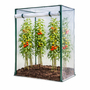 Tomatengew�chshaus Fr�hbeet Foliengew�chshaus 100x50x150cm