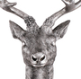 Hirschgeweih Hirschkopf Geweih 10-Ender Silber Optik 14x16x30cm