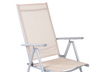 2er Set Garten Klappstuhl Aluminium - Textilen Silbergrau/Beige