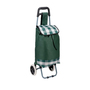 Treppensteiger Einkaufstrolley Trolley klappbar leicht 