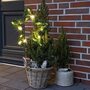 LED Metall Weihnachtsstern Gartenstecker warmwei� 15 LEDs 