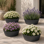 4 Stk. Blumentopf Pflanzgef�� Balkontopf Pflanztopf verzinkt 28xH12cm