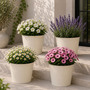 4 Stk. Blumentopf Pflanzgef�� Balkontopf Pflanztopf verzinkt 17xH15cm