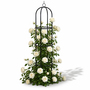 Pflanzenst�nder Metall Rankhilfe Rankgitter Obelisk Spalier H190cm 