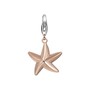 Esprit Anh�nger Charms Silber Ros� Sea Star Seestern ESCH91582A000 