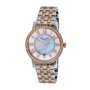 Kenneth Cole New York Damen-Armbanduhr Edelstahl 10017749 / KC4972 