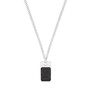 s.Oliver Jewel Herren Kette Edelstahl Anh�nger Dog-Tag 2034935
