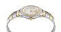 Plein Sport Damen Uhr Analog Quarz PLEIN SPORT DYNASTY PSOBA0623 Edelstahl