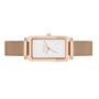 Skagen Damen Uhr Armbanduhr Hagen Edelstahl SKW3095