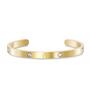 Aigner Damen Armband Armreif Edelstahl Gold AGJ.231021.GBG 