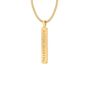 ASTON MARTIN Herren Halskette Edelstahl Anh�nger gold AML ICON MJIGS6NU5