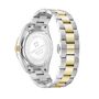 Swiss Alpine Military Damen Uhr Analog Quarz 7714.7144SAM Edelstahl