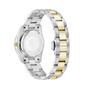 Swiss Alpine Military Damen Uhr Analog Quarz 7716.1144SAM Edelstahl