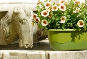 Blumenkasten Bew�sserungskasten Mareta 60 u. 80cm mit Selbstbew�sserung