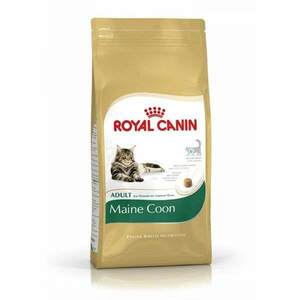 Royal Canin Katzen Trockenfutter Maine Coon 31