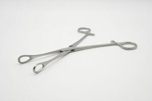 Schwammzange, n. F�rster, Schwamm Zange F�rster