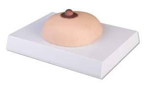 Brusttastmodell, Brustkrebs, Brust Tastmodell