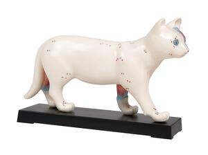 Akupunktur Modell Katze, 19 cm 