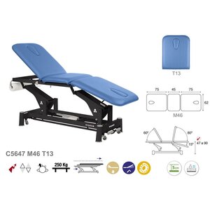 C3289 Dreiteilige stationre Therapieliege Koala mit verstellbarem Kopfteil - 70 x 198 cm